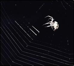 ���ƾż����ַ���ѧ��Ƶ������18���ǹܱ�������������ҽ �ٷ���û��ô��...